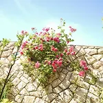 شقة Lila كريس