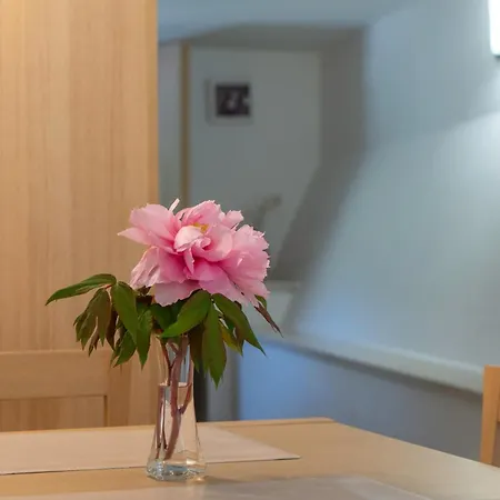 Lila Apartment Cres