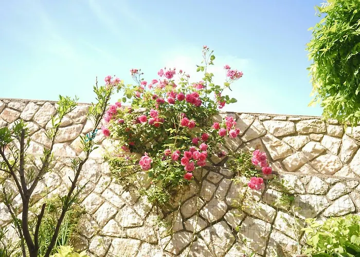 Apartament Lila Cres